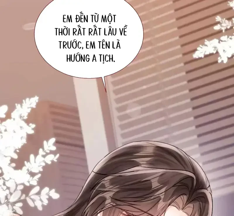 Vãn Triều Chapter 26 - 48