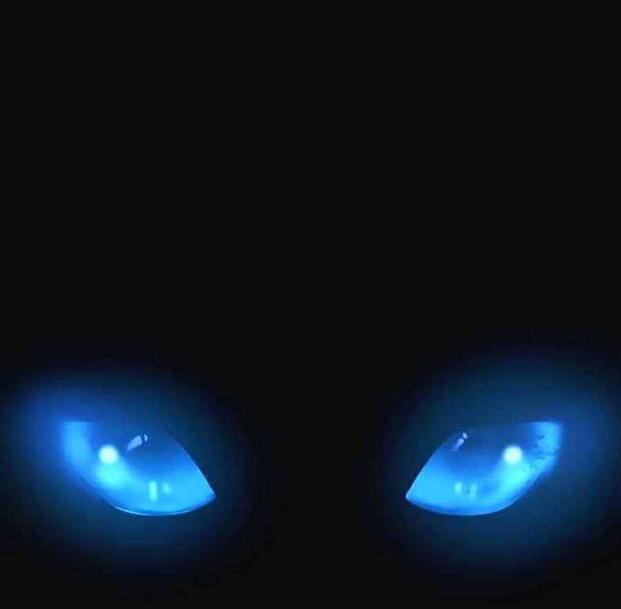 Final Boss Chapter 9 - 100