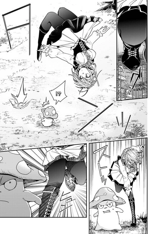 Thuần Thú Sư Ở Dị Giới Chapter 16 - 12