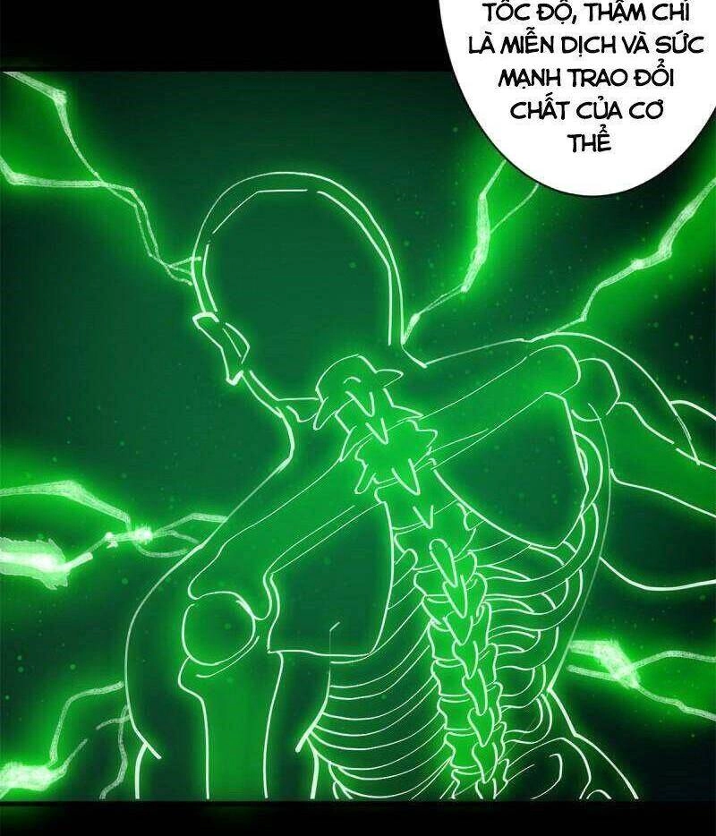 Luân Bàn Thế Giới Chapter 42 - 2