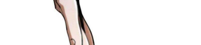 Luân Bàn Thế Giới Chapter 47 - 14