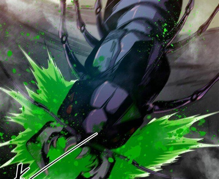 Luân Bàn Thế Giới Chapter 55 - 43