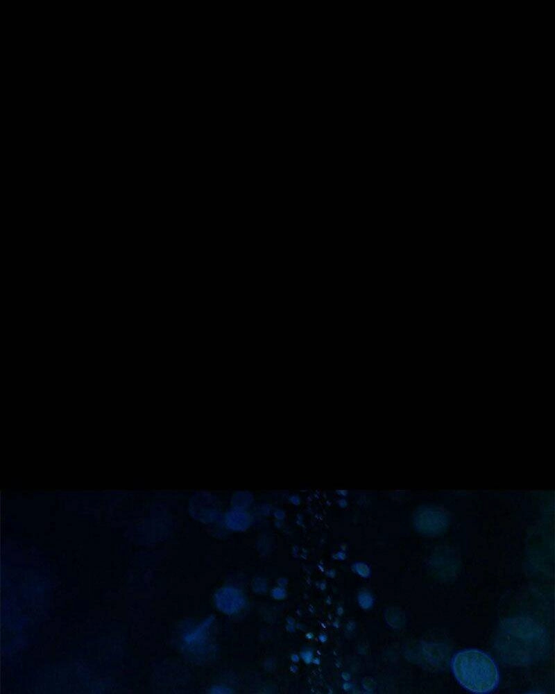 Luân Bàn Thế Giới Chapter 105 - 49