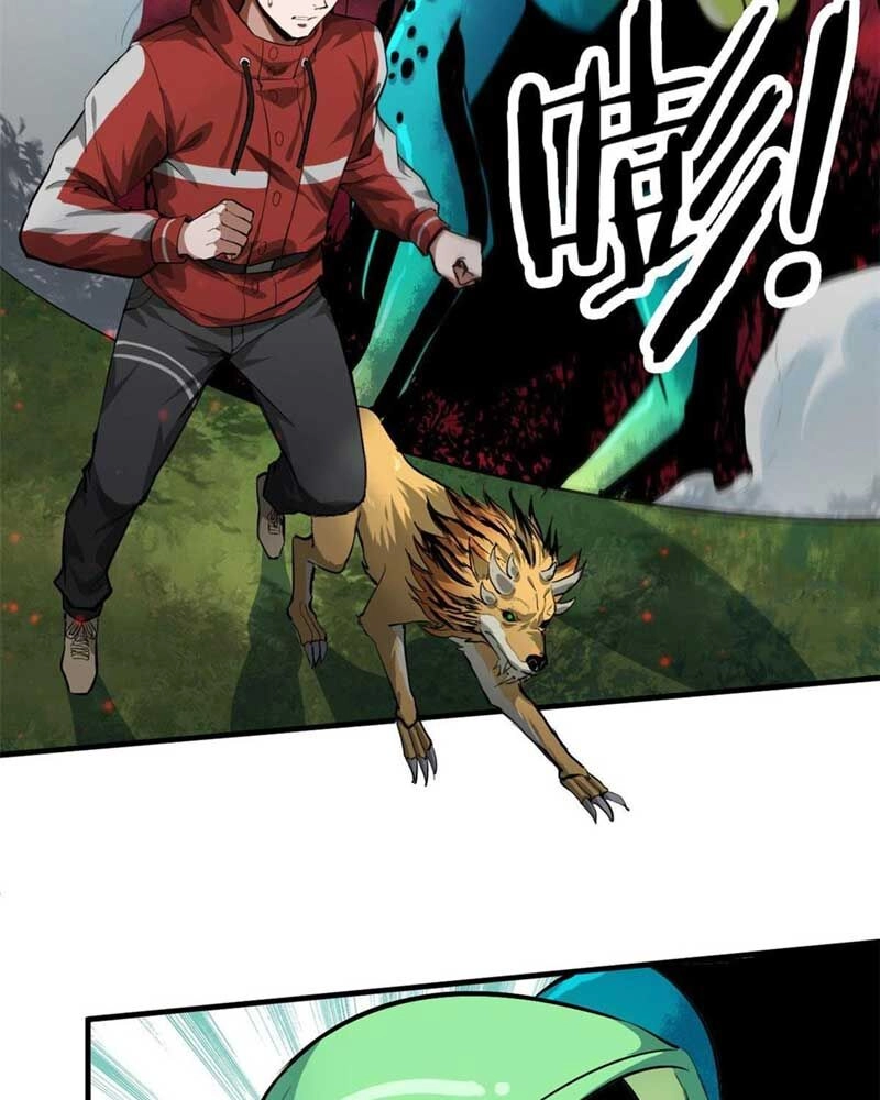 Luân Bàn Thế Giới Chapter 132 - 42