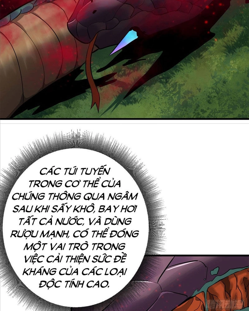 Luân Bàn Thế Giới Chapter 139 - 50