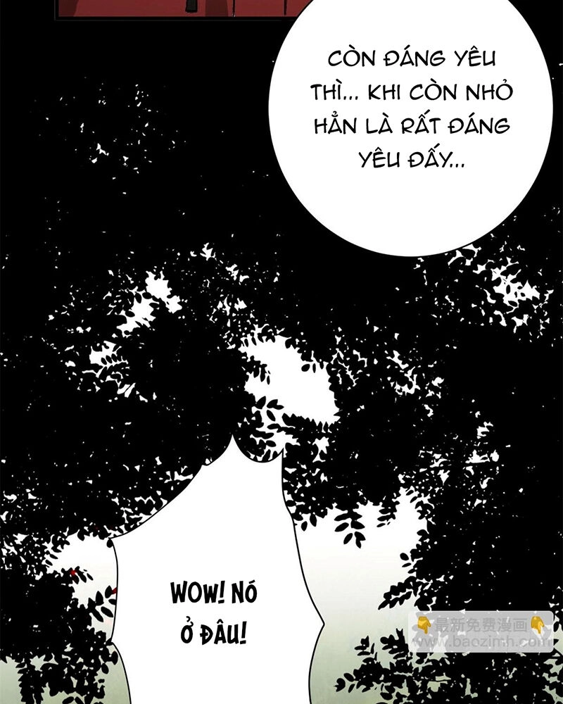 Luân Bàn Thế Giới Chapter 141 - 58