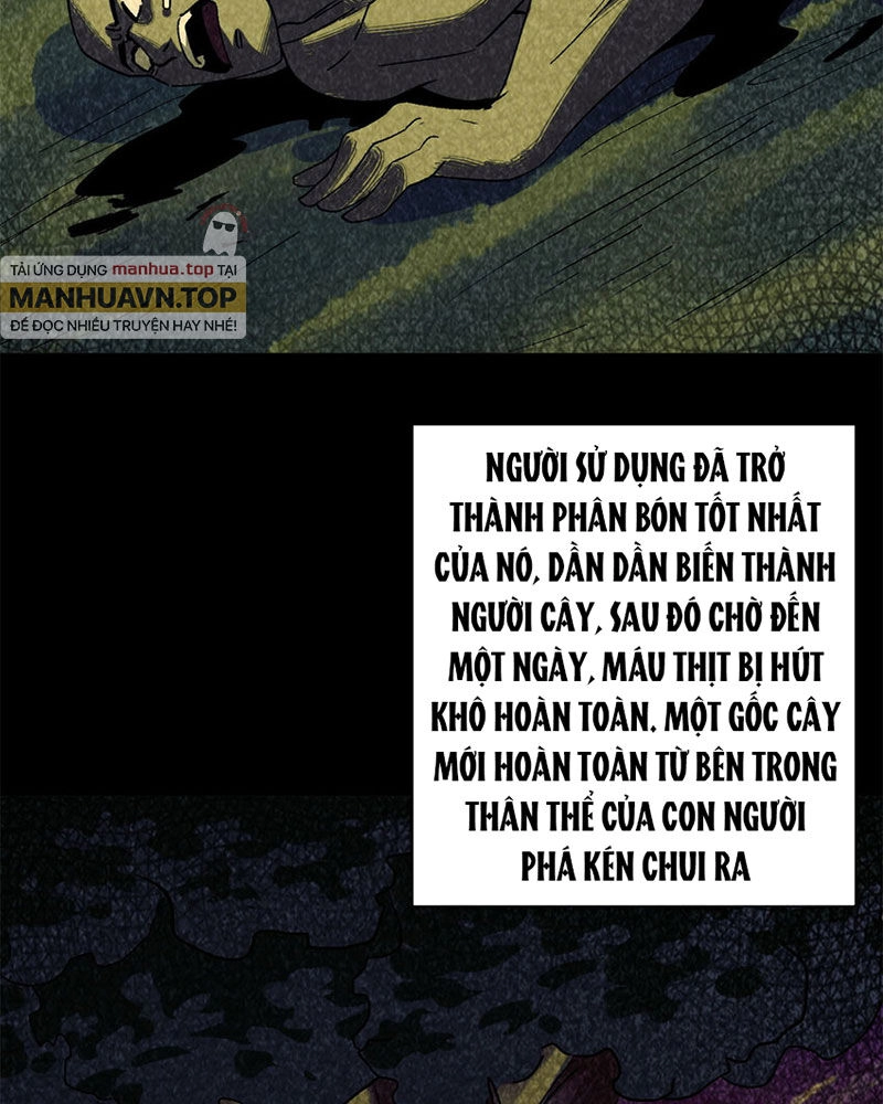 Luân Bàn Thế Giới Chapter 149 - 31