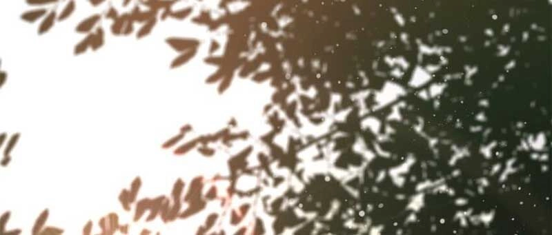 Luân Bàn Thế Giới Chapter 151 - 58