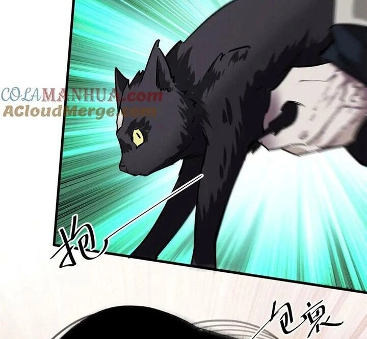 Luân Bàn Thế Giới Chapter 162 - 43