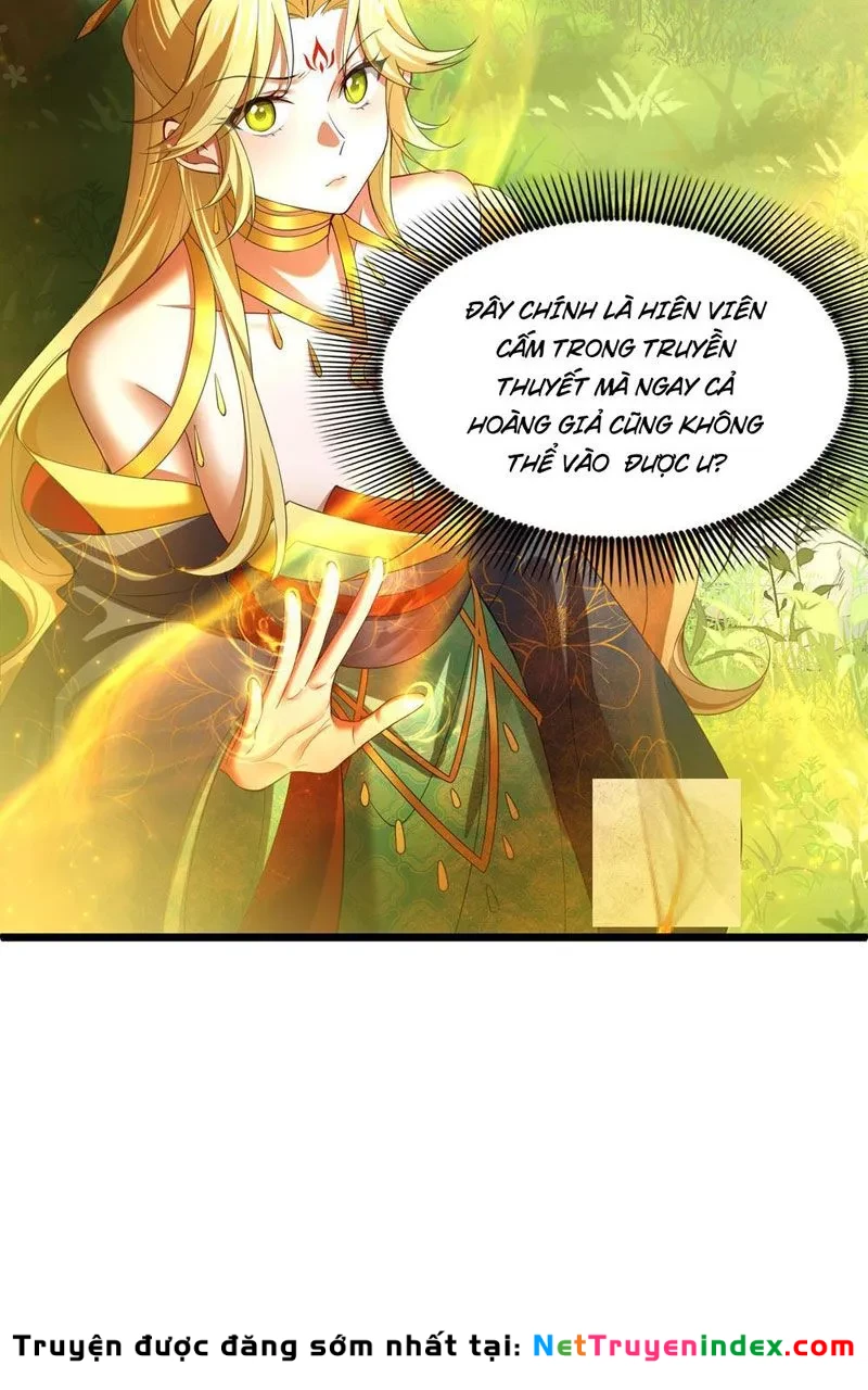 Kim Đan Là Hằng Tinh, Ngươi Gọi Đây Là Tu Tiên À? Chapter 7 - 41