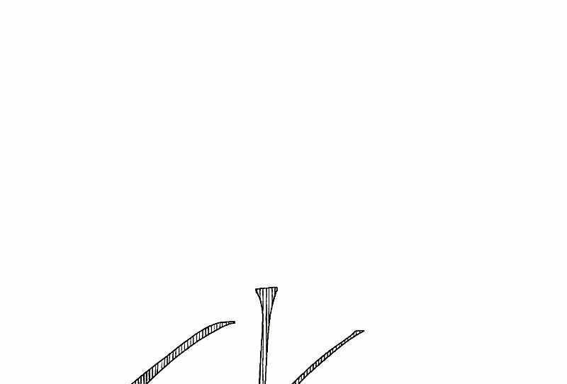 Đấu Trường Sinh Tử Chapter 113 - 62