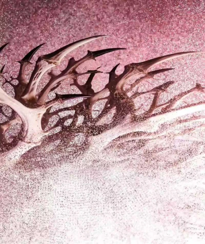 Nhân Sinh Quỷ Dị Chapter 25 - 124