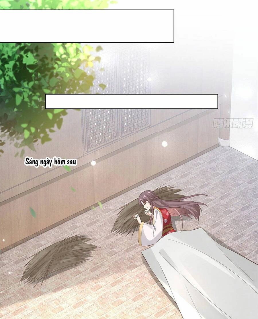 Bệnh Kiều Vương Gia Dựa Vào Ta Để Tiếp Tục Sống Chapter 25 - 37