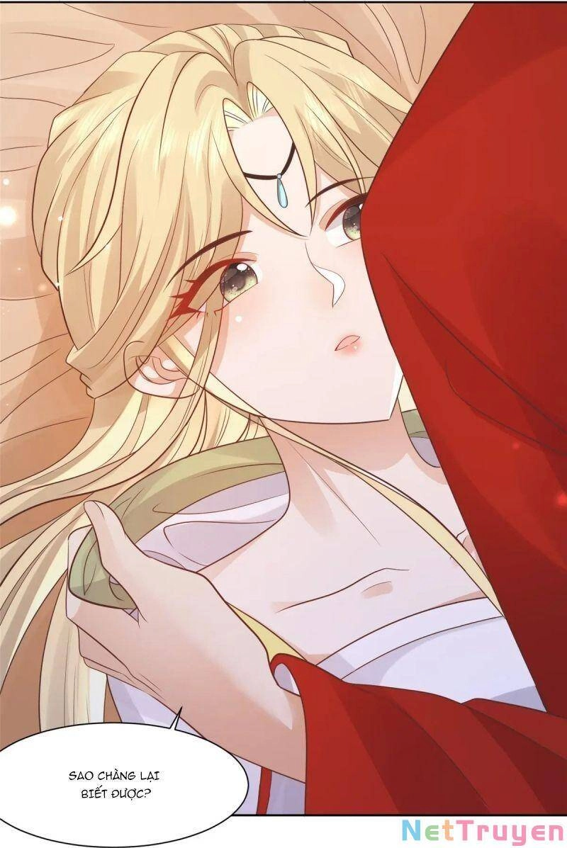 Bệnh Kiều Vương Gia Dựa Vào Ta Để Tiếp Tục Sống Chapter 66 - 28