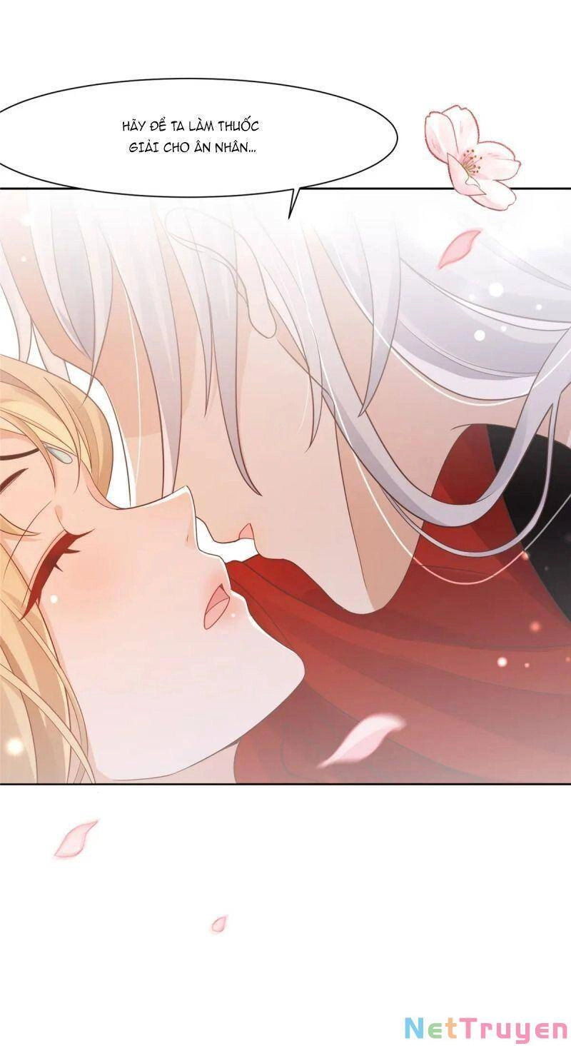 Bệnh Kiều Vương Gia Dựa Vào Ta Để Tiếp Tục Sống Chapter 66 - 32