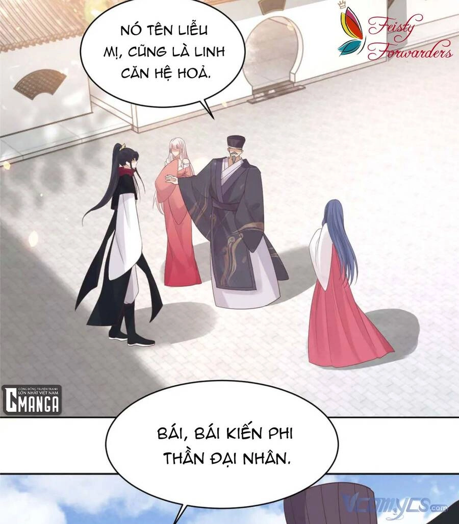 Bệnh Kiều Vương Gia Dựa Vào Ta Để Tiếp Tục Sống Chapter 68 - 30