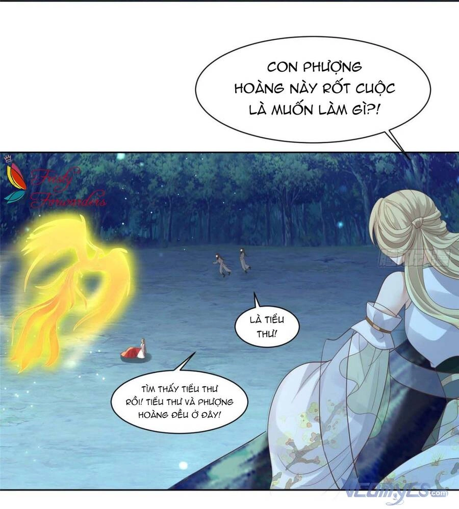 Bệnh Kiều Vương Gia Dựa Vào Ta Để Tiếp Tục Sống Chapter 71 - 14