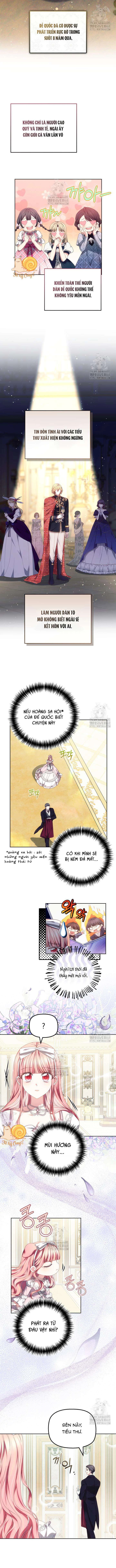 Tiểu Thư Mạnh Mẽ Muốn Trở Nên Yếu Đuối Chapter 12 - 3