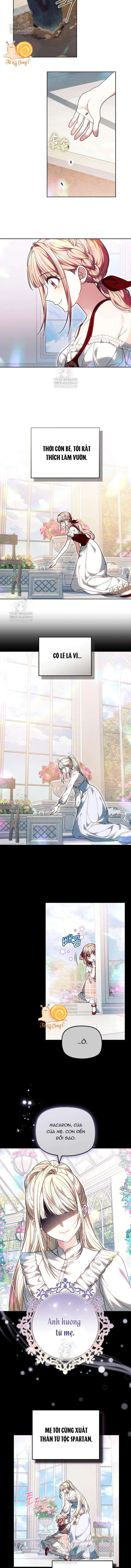 Tiểu Thư Mạnh Mẽ Muốn Trở Nên Yếu Đuối Chapter  27 - 9