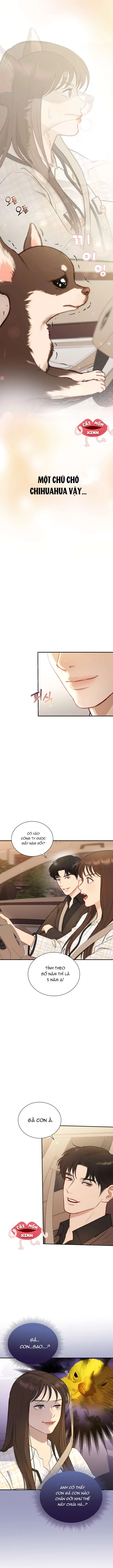 Văn Phòng Thư Ký Chapter 2 - 11