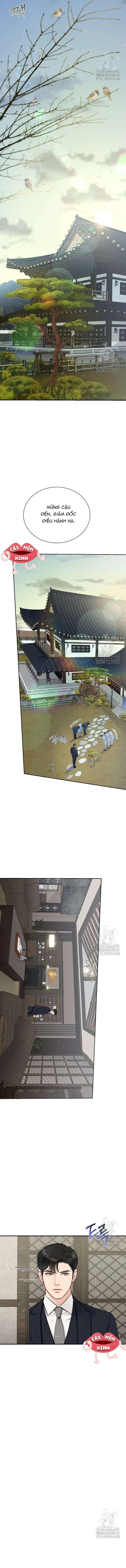 Văn Phòng Thư Ký Chapter 3 - 9