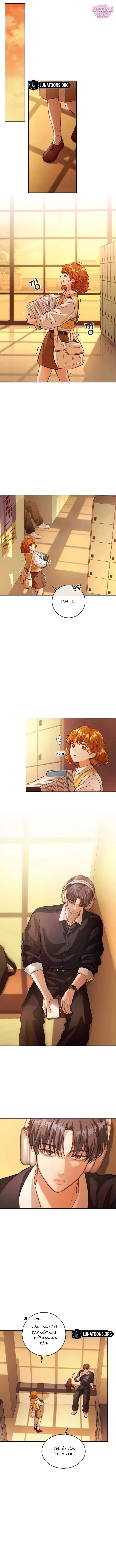 Dain Hoàn Hảo Chapter 4 - 12