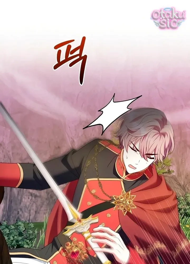 Thuần Hóa Hoàng Tử Của Kẻ Thù Chapter 12 - 41