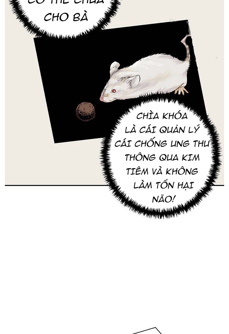 Tôi Viết Sách Để Thăng Cấp Chapter 95 - 36