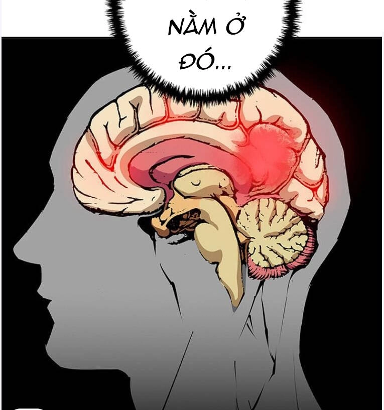 Tôi Viết Sách Để Thăng Cấp Chapter 96 - 43