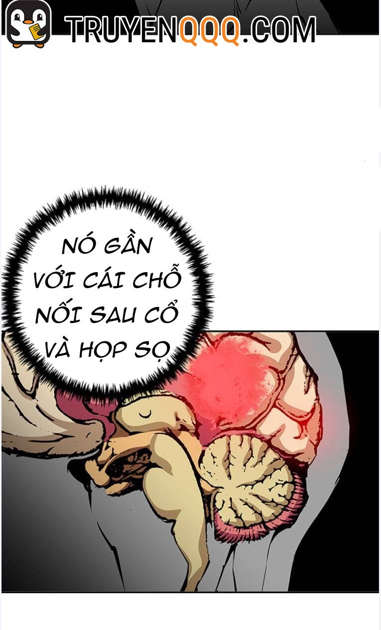 Tôi Viết Sách Để Thăng Cấp Chapter 96 - 44