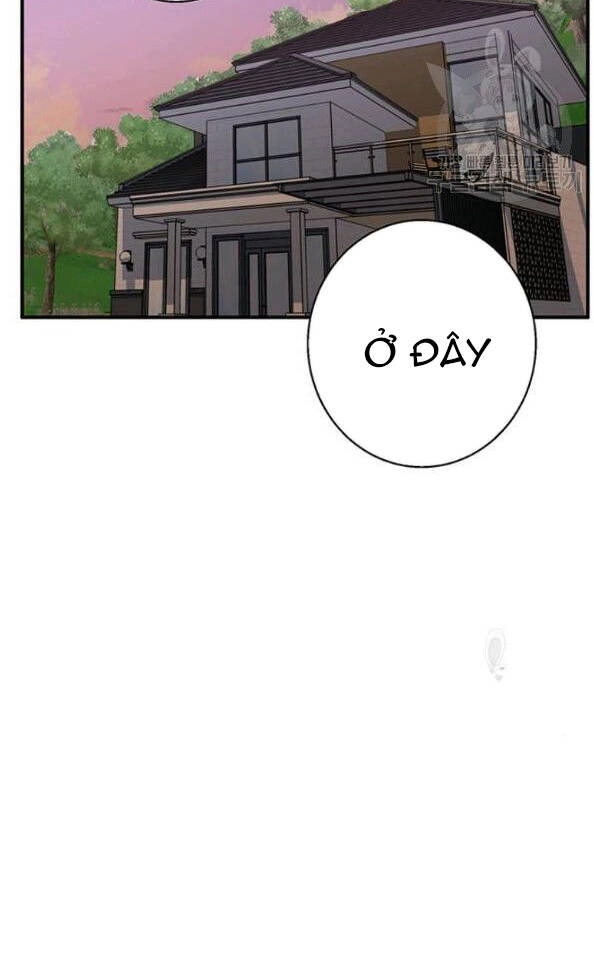 Tôi Viết Sách Để Thăng Cấp Chapter 117 - 73