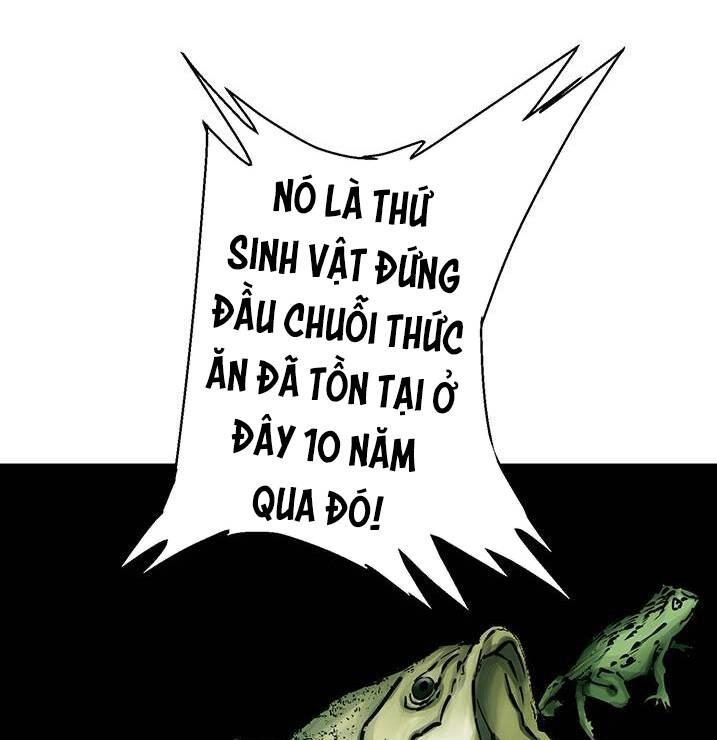 Tôi Viết Sách Để Thăng Cấp Chapter 119 - 36