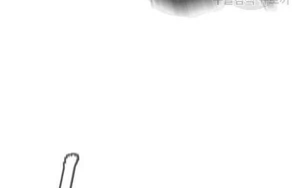 Tôi Viết Sách Để Thăng Cấp Chapter 135.5 - 65