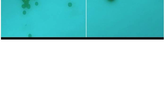 Murim Thời Hiện Đại Chapter 51 - 14