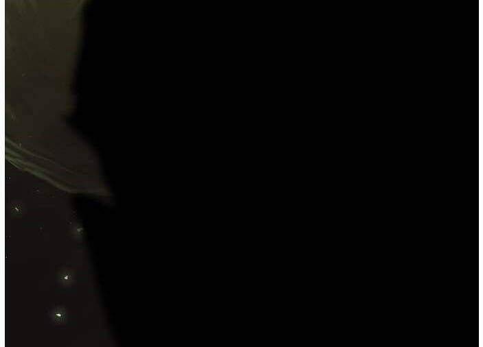 Murim Thời Hiện Đại Chapter 64 - 69