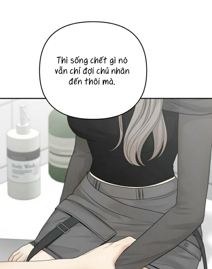 Hy Vọng Duy Nhất Chapter 86 - 94