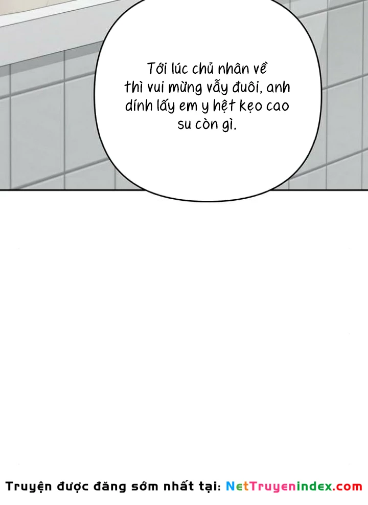 Hy Vọng Duy Nhất Chapter 86 - 97