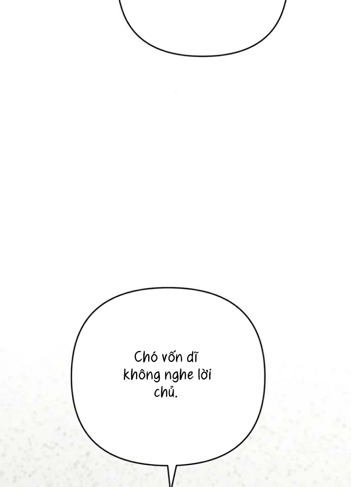 Hy Vọng Duy Nhất Chapter 86 - 105