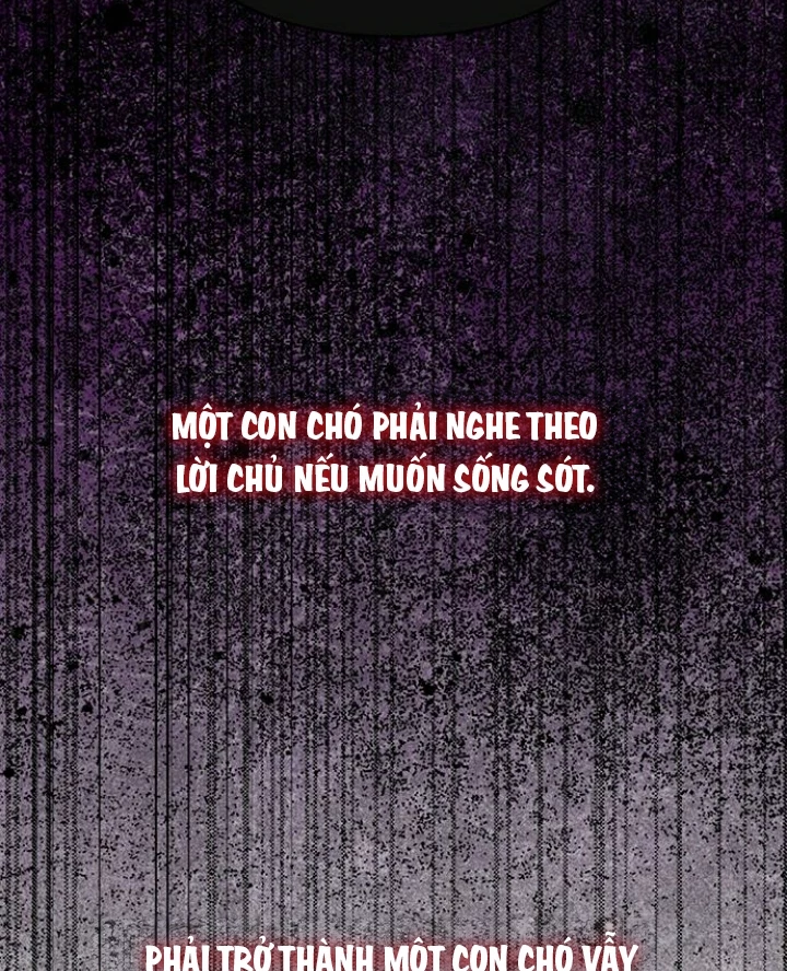 Hy Vọng Duy Nhất Chapter 87 - 73