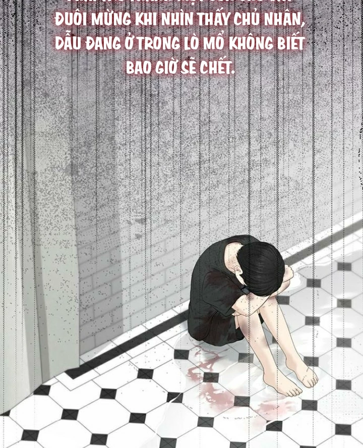 Hy Vọng Duy Nhất Chapter 87 - 74