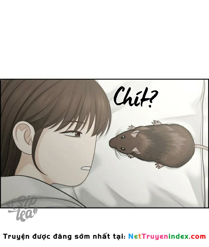 Hy Vọng Duy Nhất Chapter 87 - 104