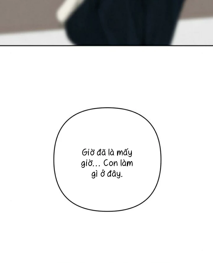 Hy Vọng Duy Nhất Chapter 110 - 133