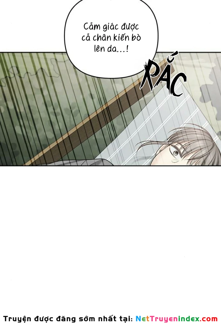 Hy Vọng Duy Nhất Chapter 113 - 43