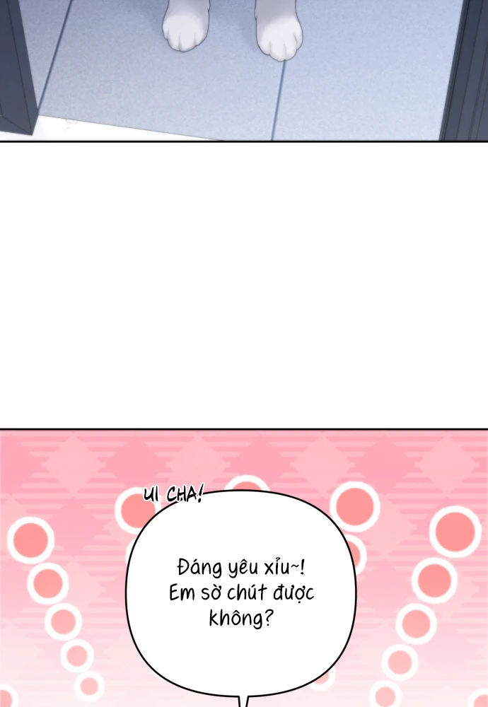 Hy Vọng Duy Nhất Chapter 136 - 3