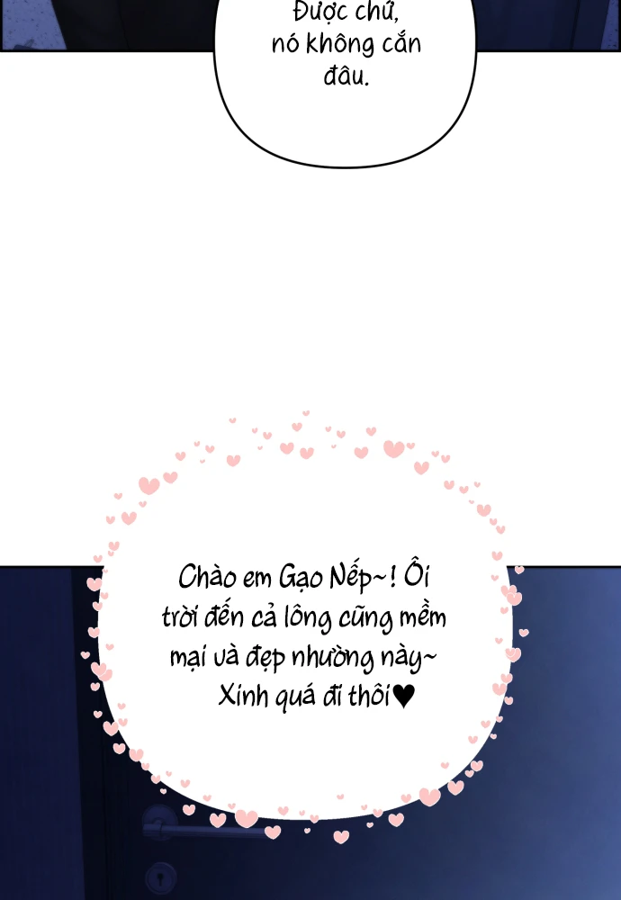 Hy Vọng Duy Nhất Chapter 136 - 6
