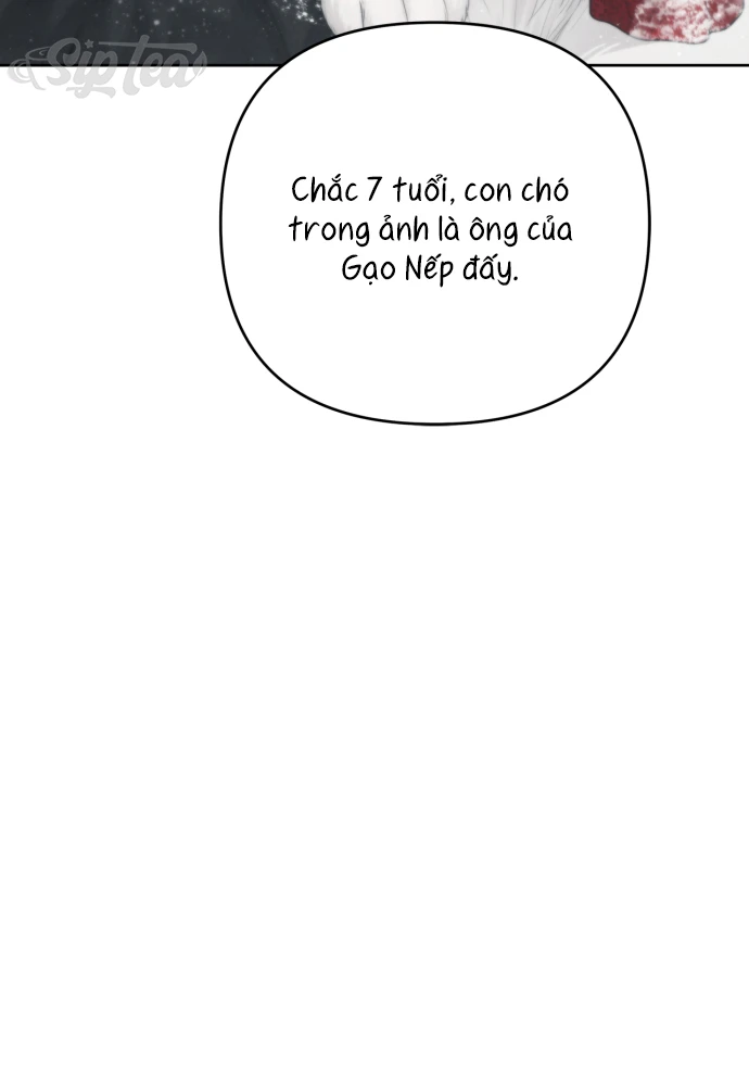 Hy Vọng Duy Nhất Chapter 136 - 41