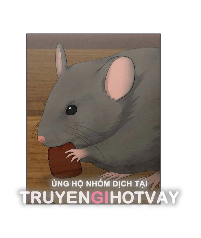 Hy Vọng Duy Nhất Chapter 56.1 - 13