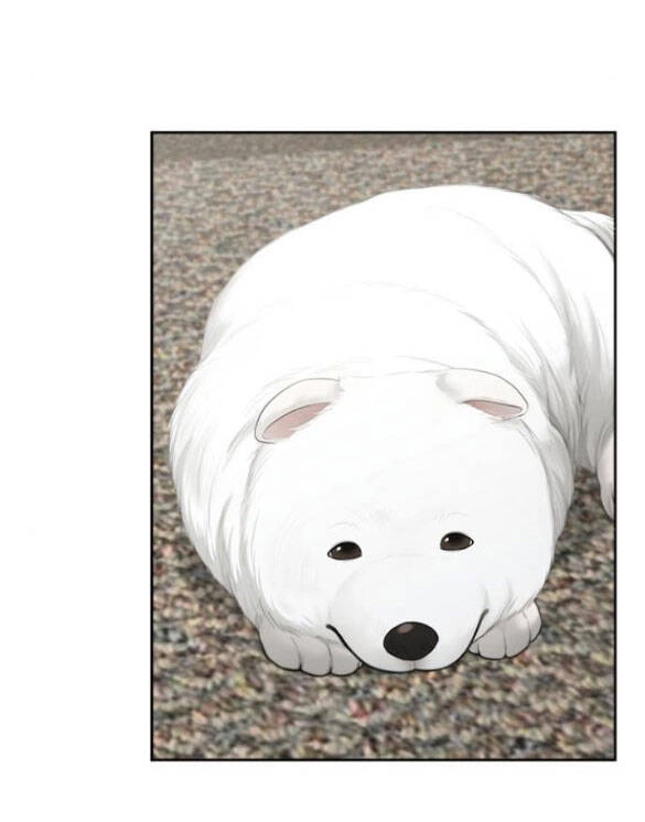 Hy Vọng Duy Nhất Chapter 58.1 - 20