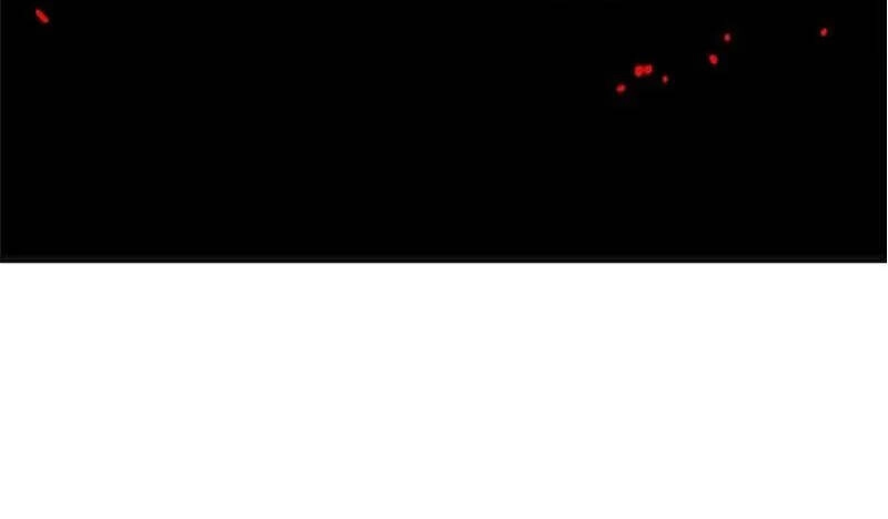 The Dungeon Master Chapter 121 - 40