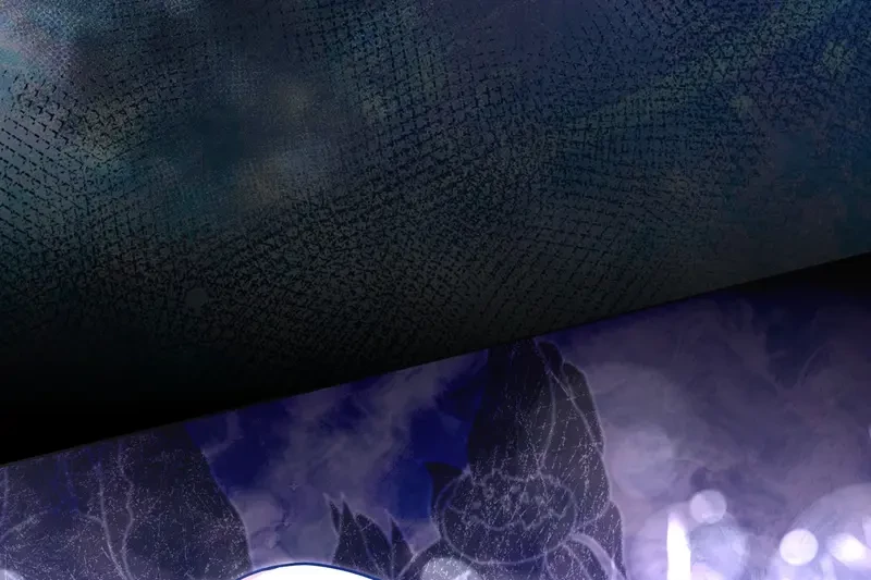 Tôi Là Siêu Trộm, Lại Đi Kết Hôn Giả Với Thanh Tra Chapter 0 - 55